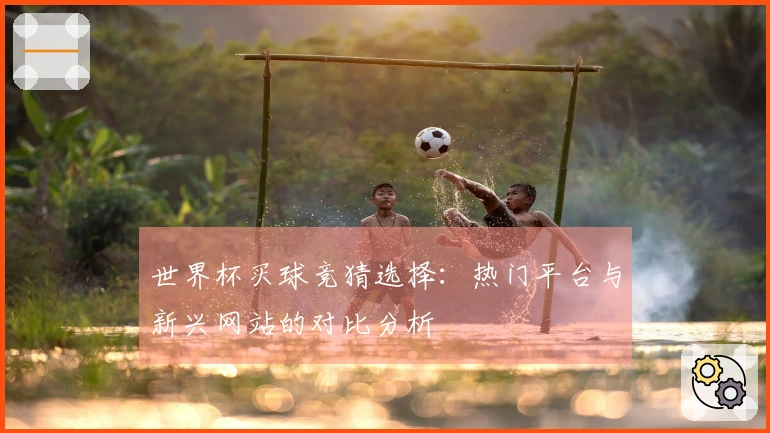 世界杯买球竞猜选择：热门平台与新兴网站的对比分析