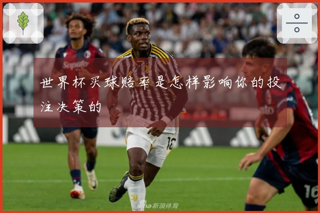 世界杯买球赔率是怎样影响你的投注决策的