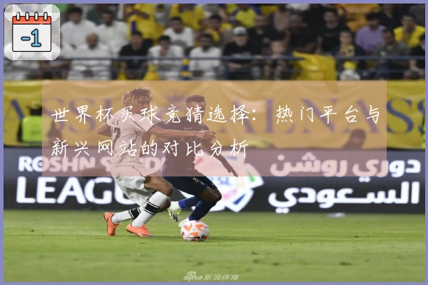 世界杯买球竞猜选择：热门平台与新兴网站的对比分析