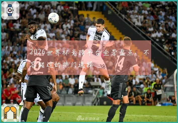 2026世界杯竞猜平台全景盘点，不容错过的热门选择