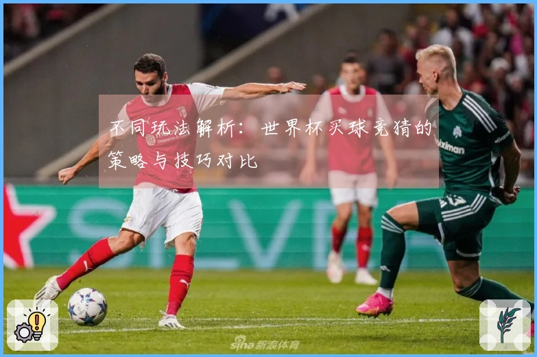 不同玩法解析：世界杯买球竞猜的策略与技巧对比