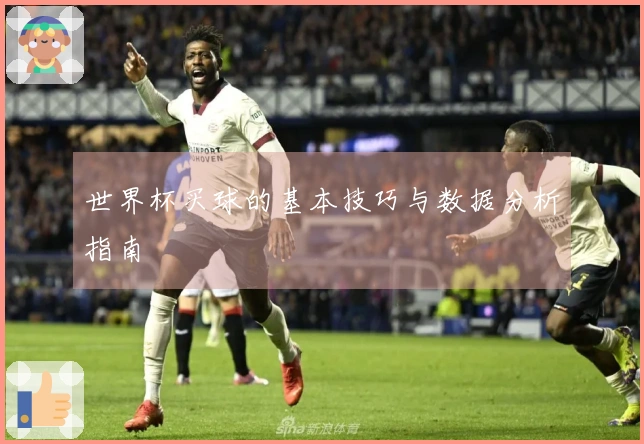 世界杯买球的基本技巧与数据分析指南