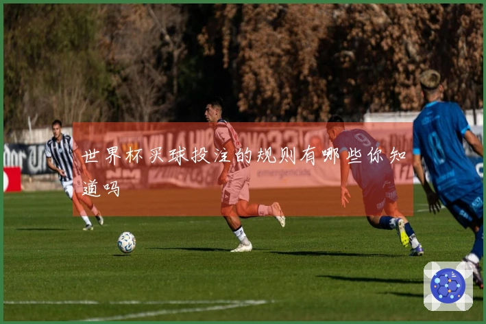 世界杯买球投注的规则有哪些你知道吗