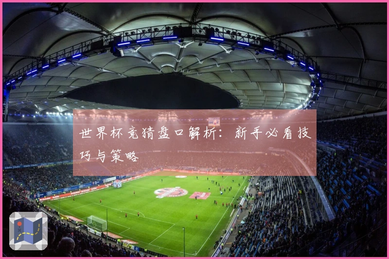 世界杯竞猜盘口解析：新手必看技巧与策略