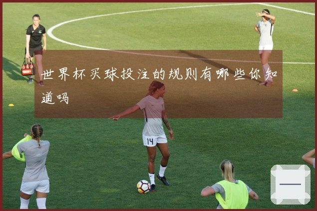 世界杯买球投注的规则有哪些你知道吗
