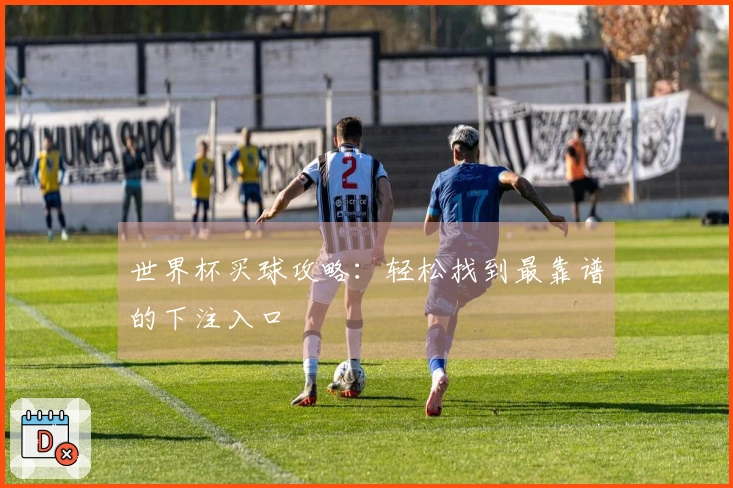 世界杯买球攻略：轻松找到最靠谱的下注入口