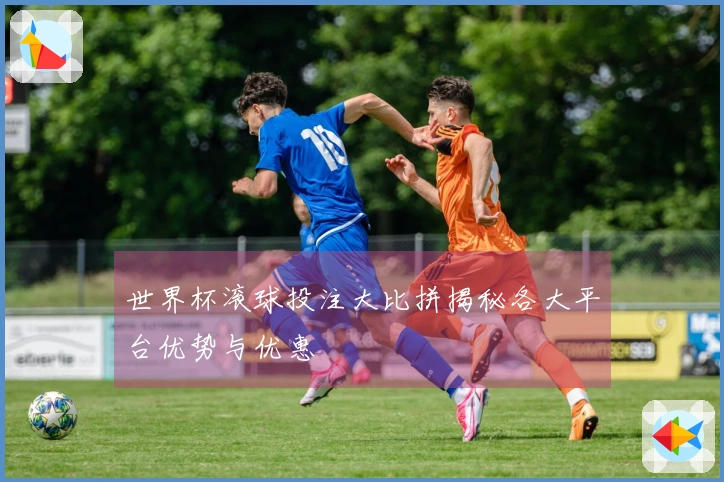 世界杯滚球投注大比拼揭秘各大平台优势与优惠